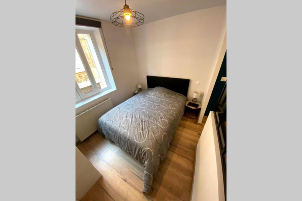 Appartement Moderne Et Cosy, Proche Cnpe Lagnieu Екстер'єр фото